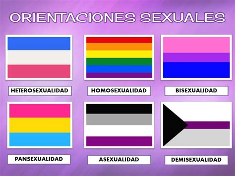 banderas de sexo|Banderas sexuales